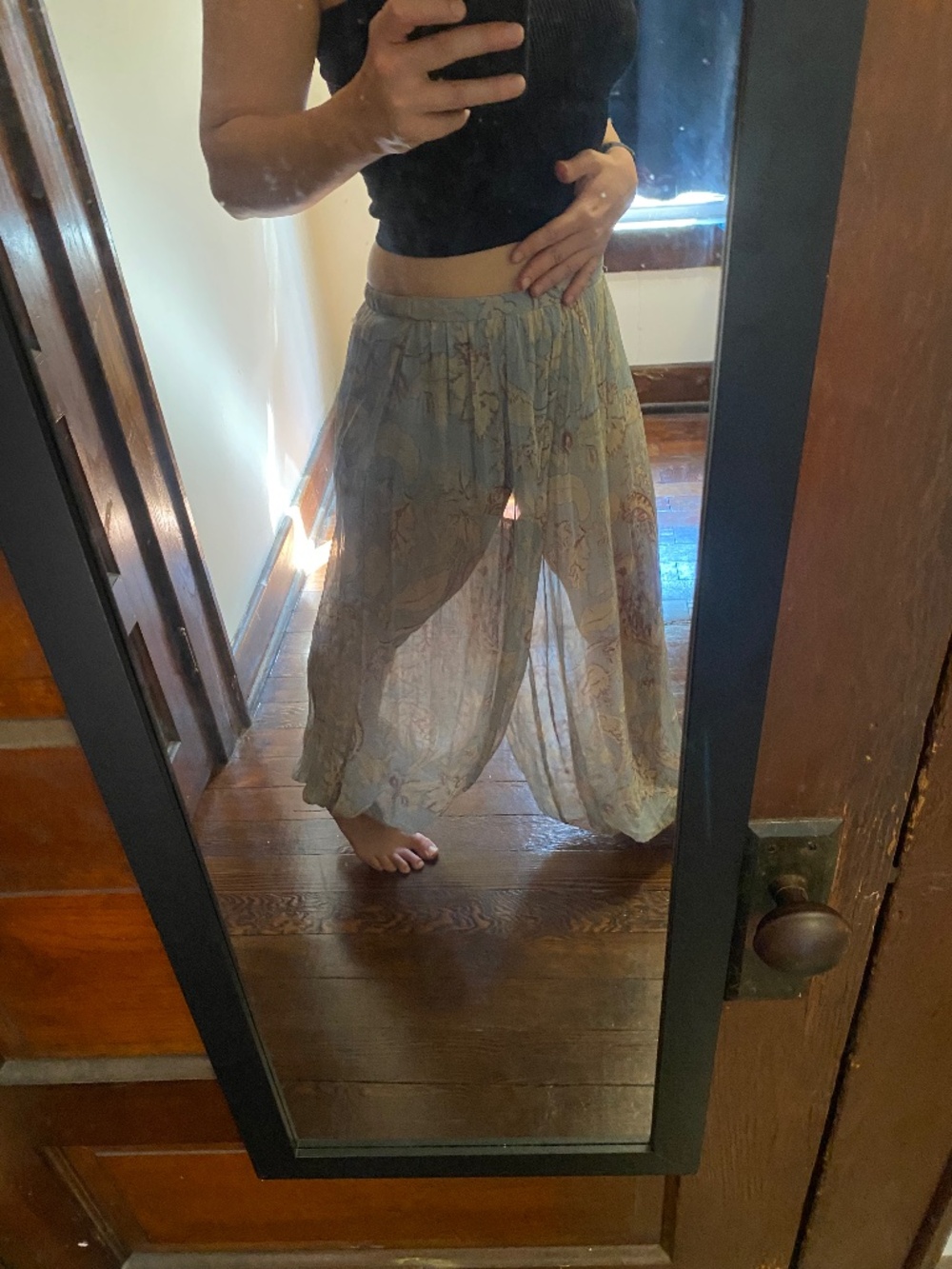 Zara size small semi- sheer balloon pants with a botanical print